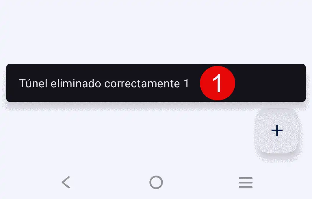 Confirmar eliminacion del tunel