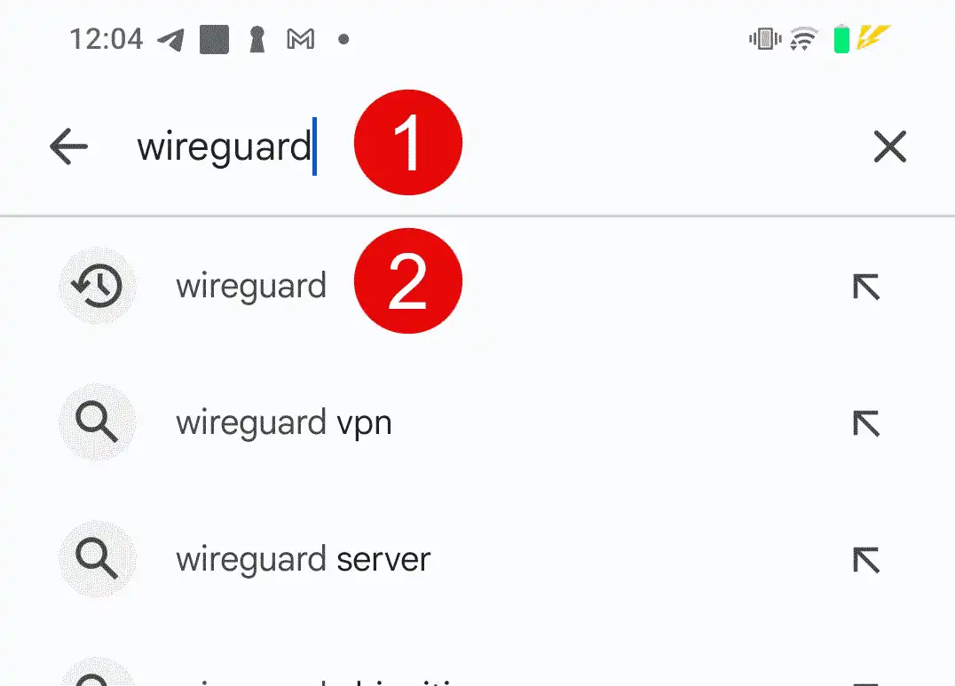 Escribir Wireguard en el buscador
