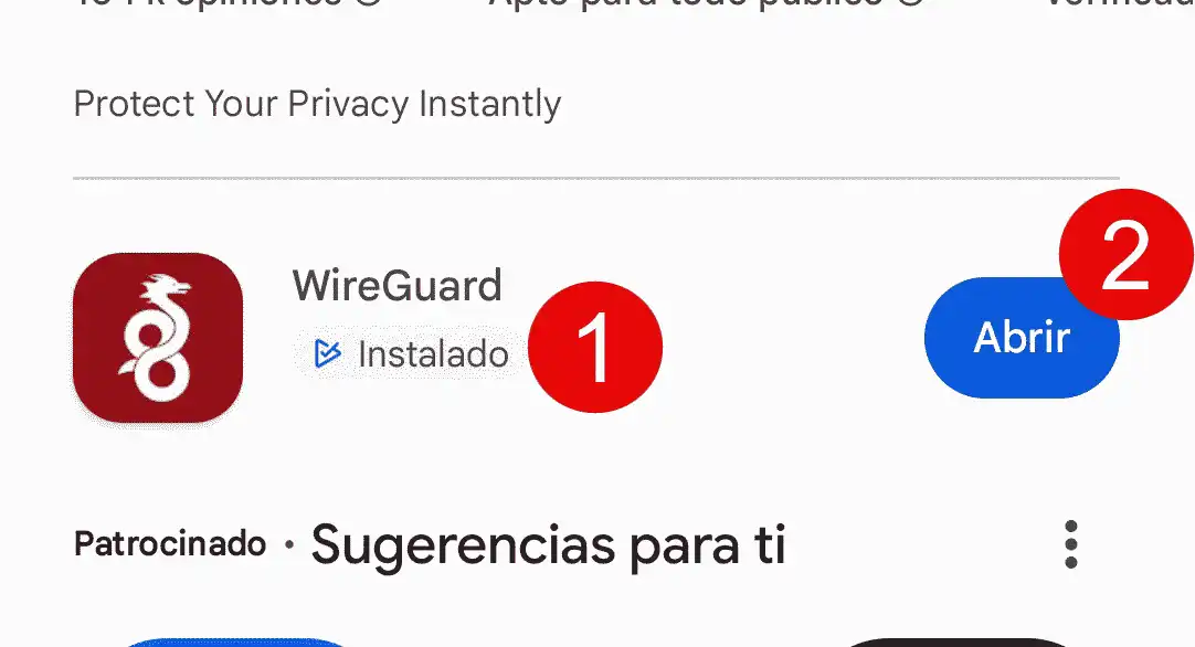 Abrir aplicacion WireGuard instalada